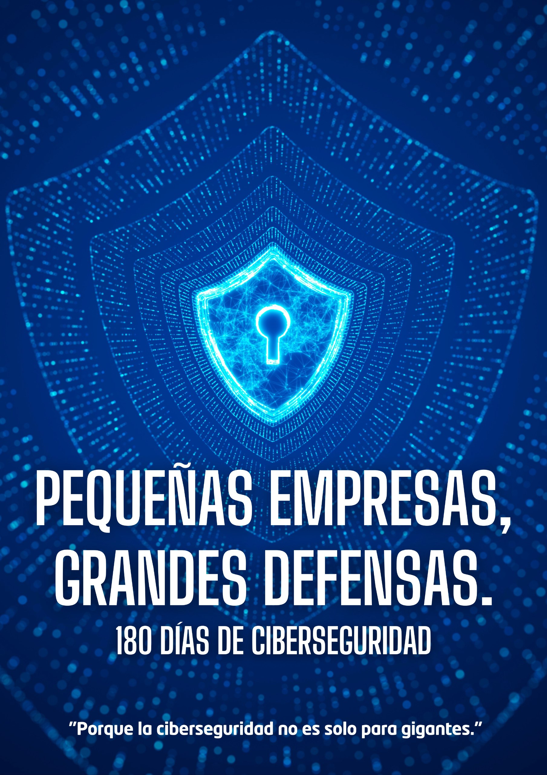 Portada del libro Pequeñas Empresas, Grandes Defensas